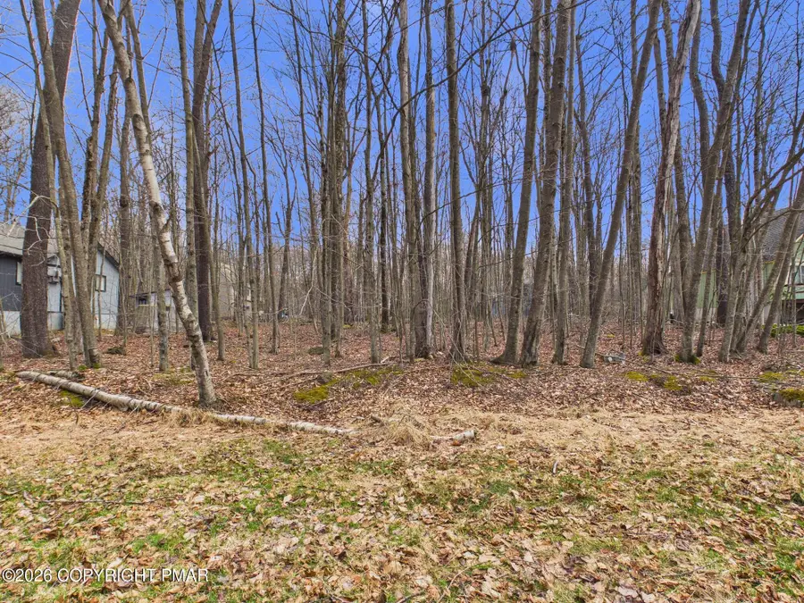 Croasdale Ct 22 Court, Pocono Lake, PA 18347 - #2