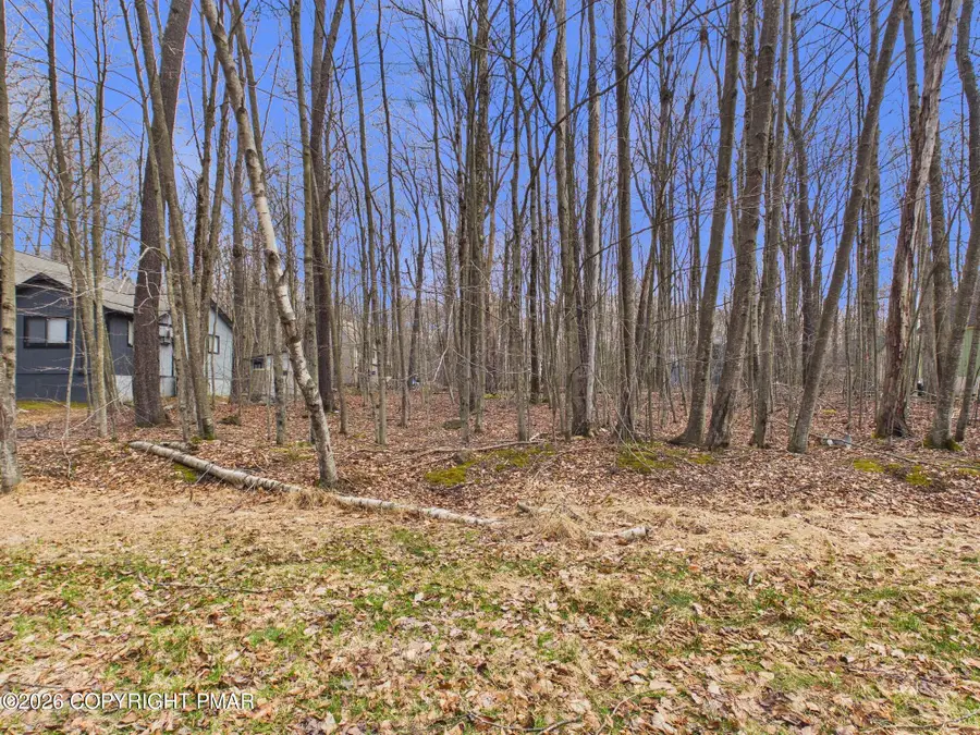 Croasdale Ct 22 Court, Pocono Lake, PA 18347 - #3