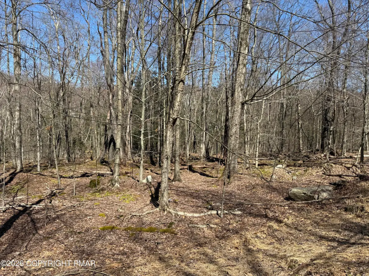 85 Fountain Dr, Gouldsboro, PA 18424 - #1