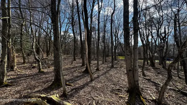Stony Mountain Road, Albrightsville, PA 18210