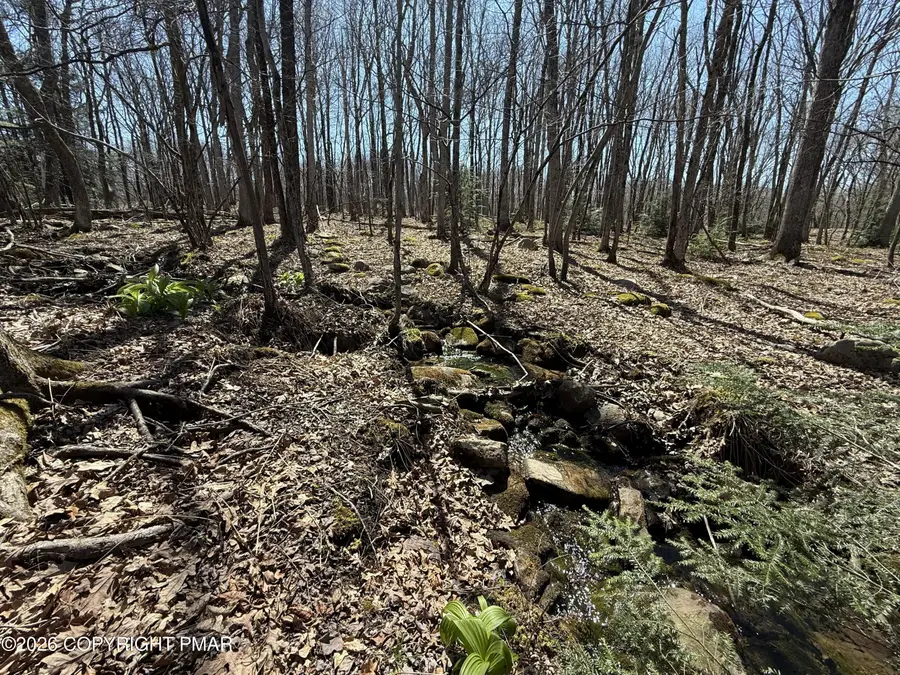 G556 Drakes Drive, Jim Thorpe, PA 18229 - #3