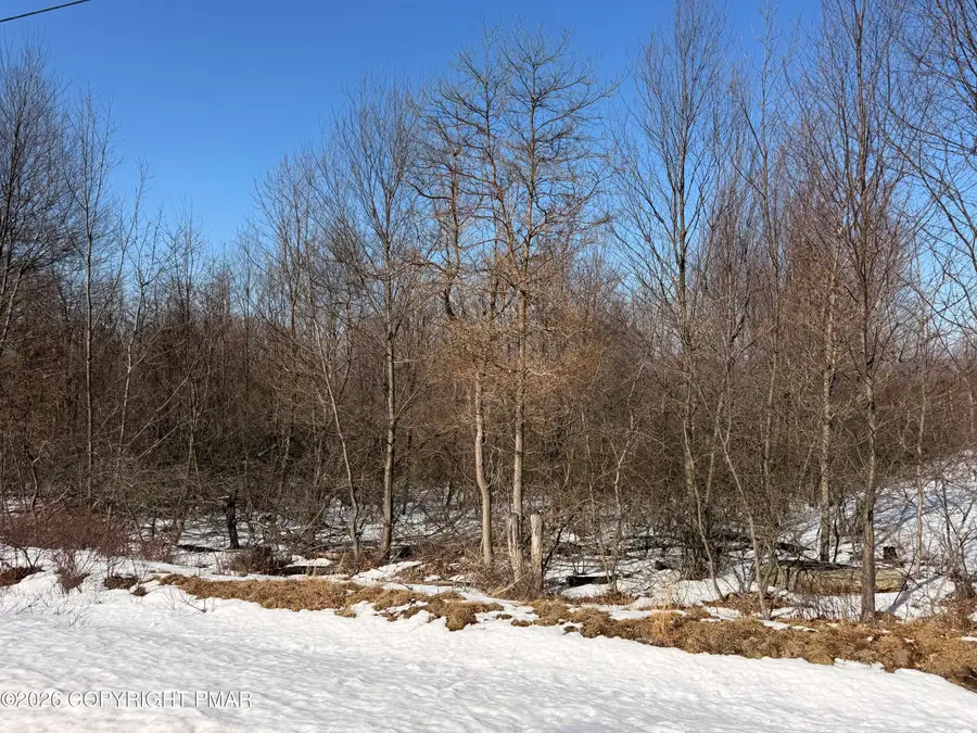 Buttonbush Lane, Hazle, PA 18202 - #3