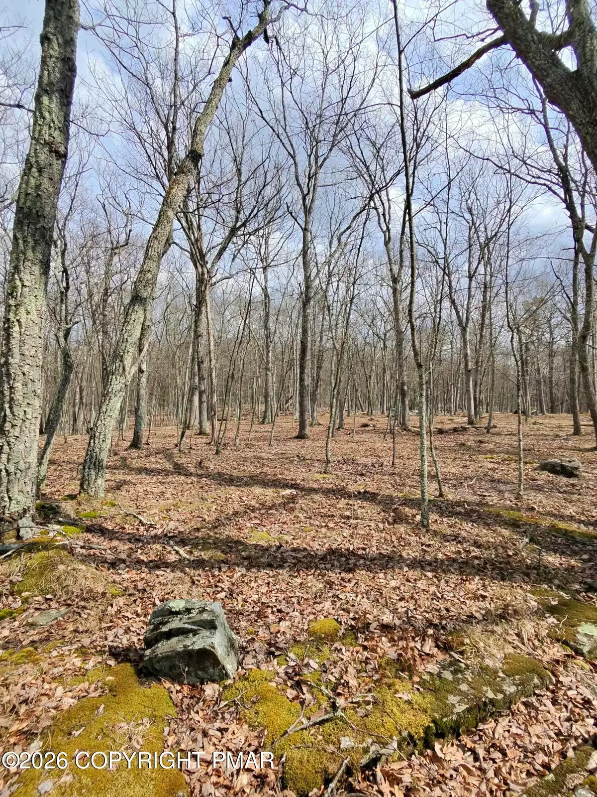 Ledge View Drive, Hawley, PA 18428 - #1