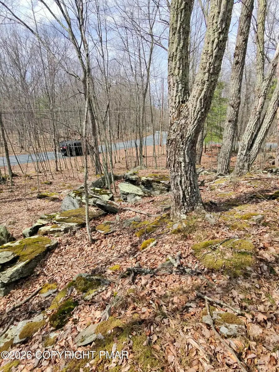 Ledge View Drive, Hawley, PA 18428 - #3
