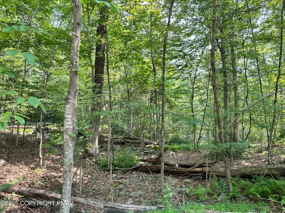 St Moritz Ct 3f, Henryville, PA 18332 - #1