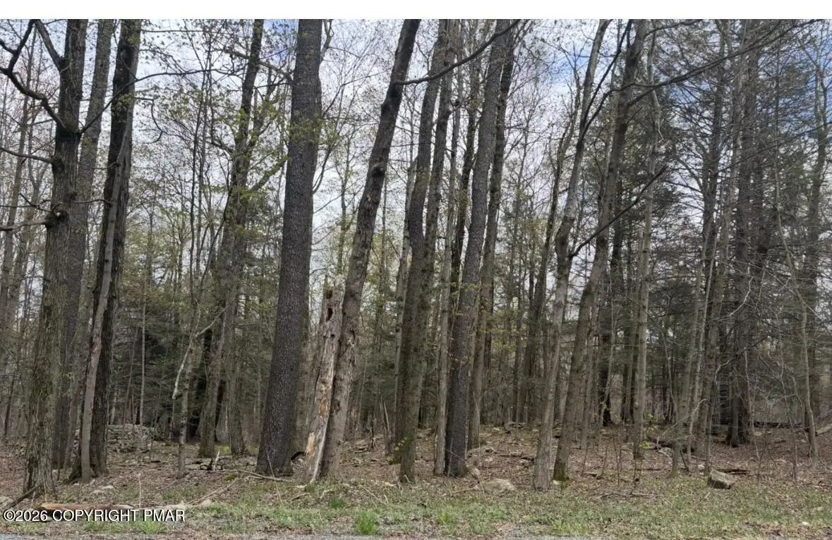 Chipmunk Trail, Hawley, PA 18428 - #1