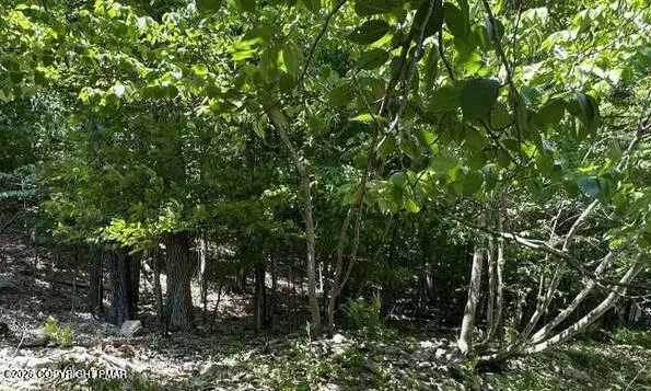 Lot 24 Green Meadow Drive, East Stroudsburg, PA 18302 - #2