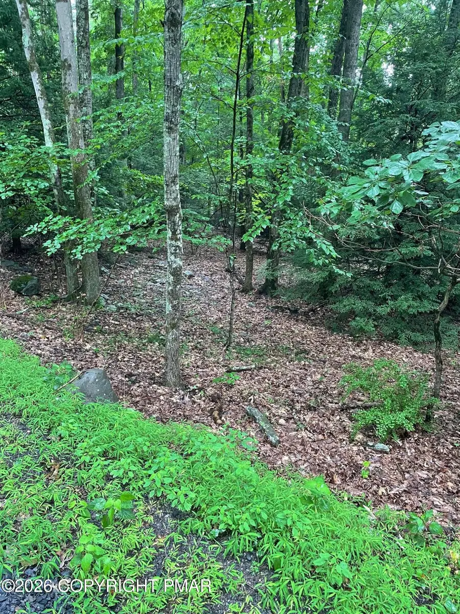511 N Shore Dr & Linden Dr, Albrightsville, PA 18210 - #2