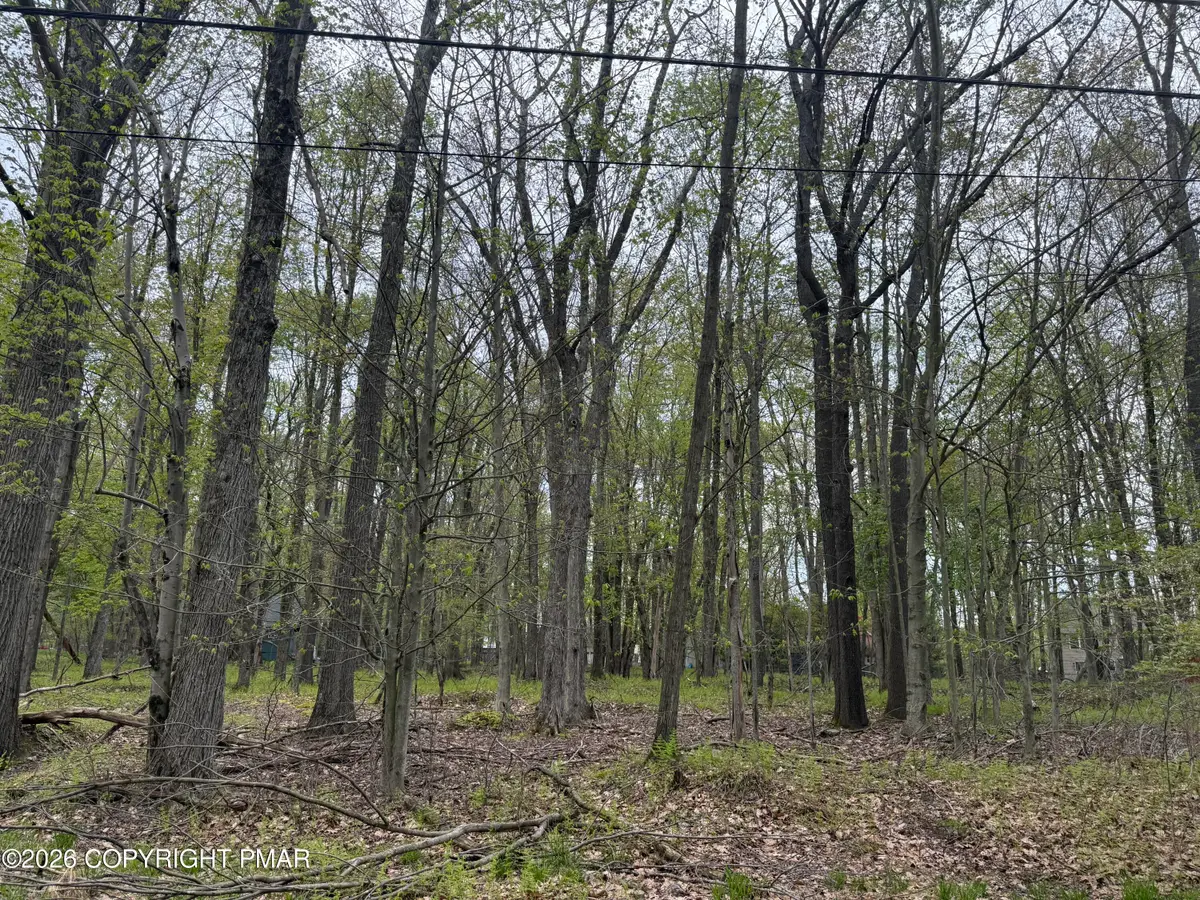 6 Paiute Path, Pocono Lake, PA 18347 - #1