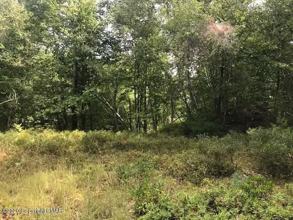 150 Pa-390, Tafton, PA 18464