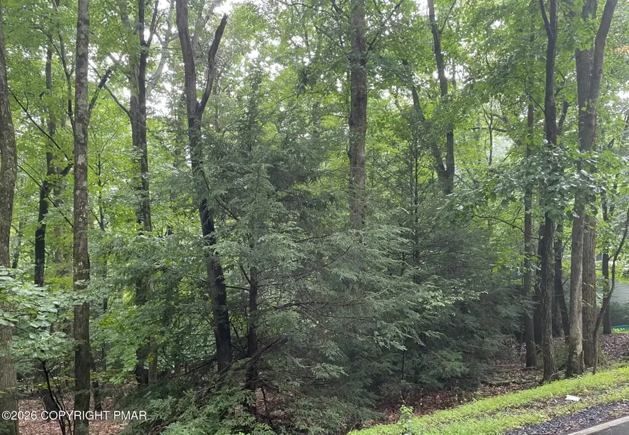 311 Woodland Road & Deerfoot Lane, Albrightsville, PA 18210 - #2