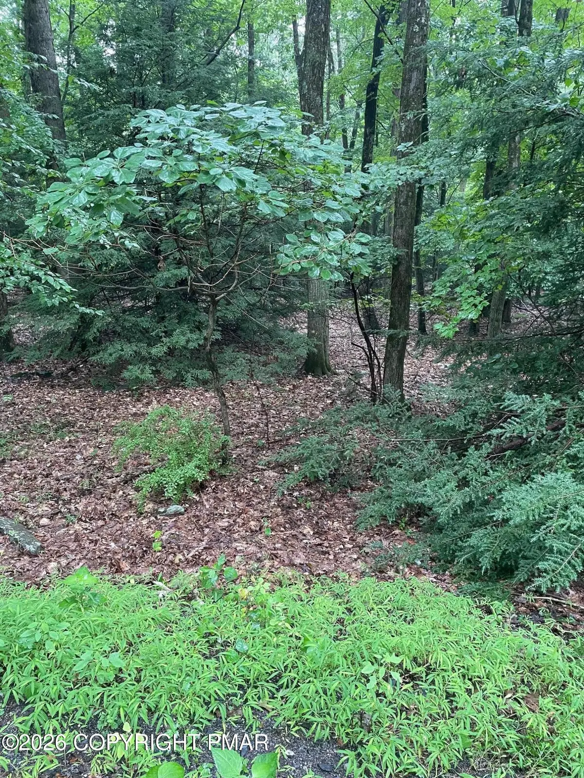 70 Woodland Road, Albrightsville, PA 18210 - #1