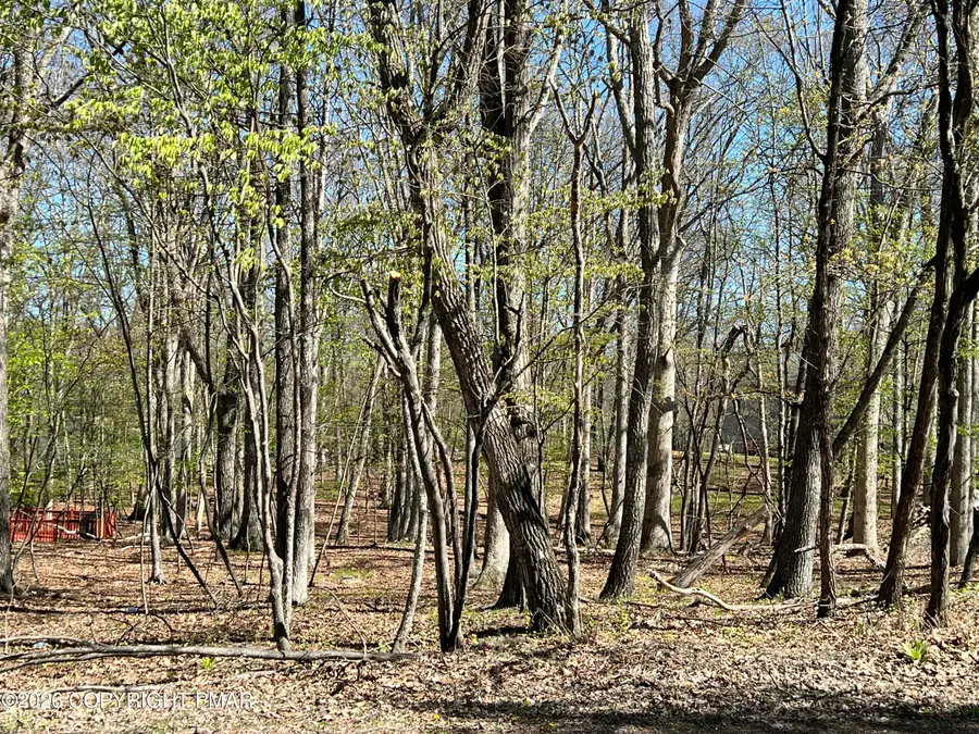 Lincoln Rd 96 Road, East Stroudsburg, PA 18302 - #2