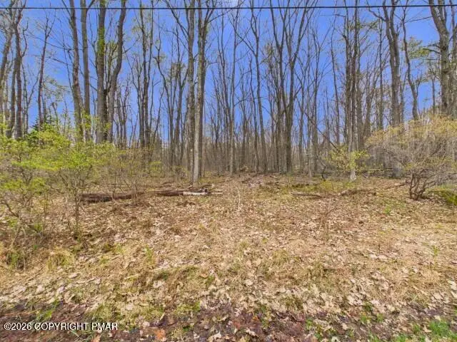 619 Berry Ln 619 Lane, Pocono Lake, PA 18347 - #1