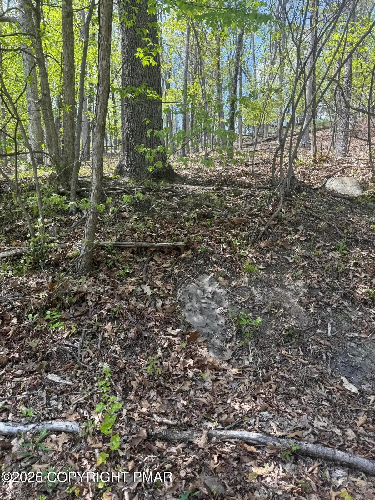 Burgoon Road, East Stroudsburg, PA 18301 - #1