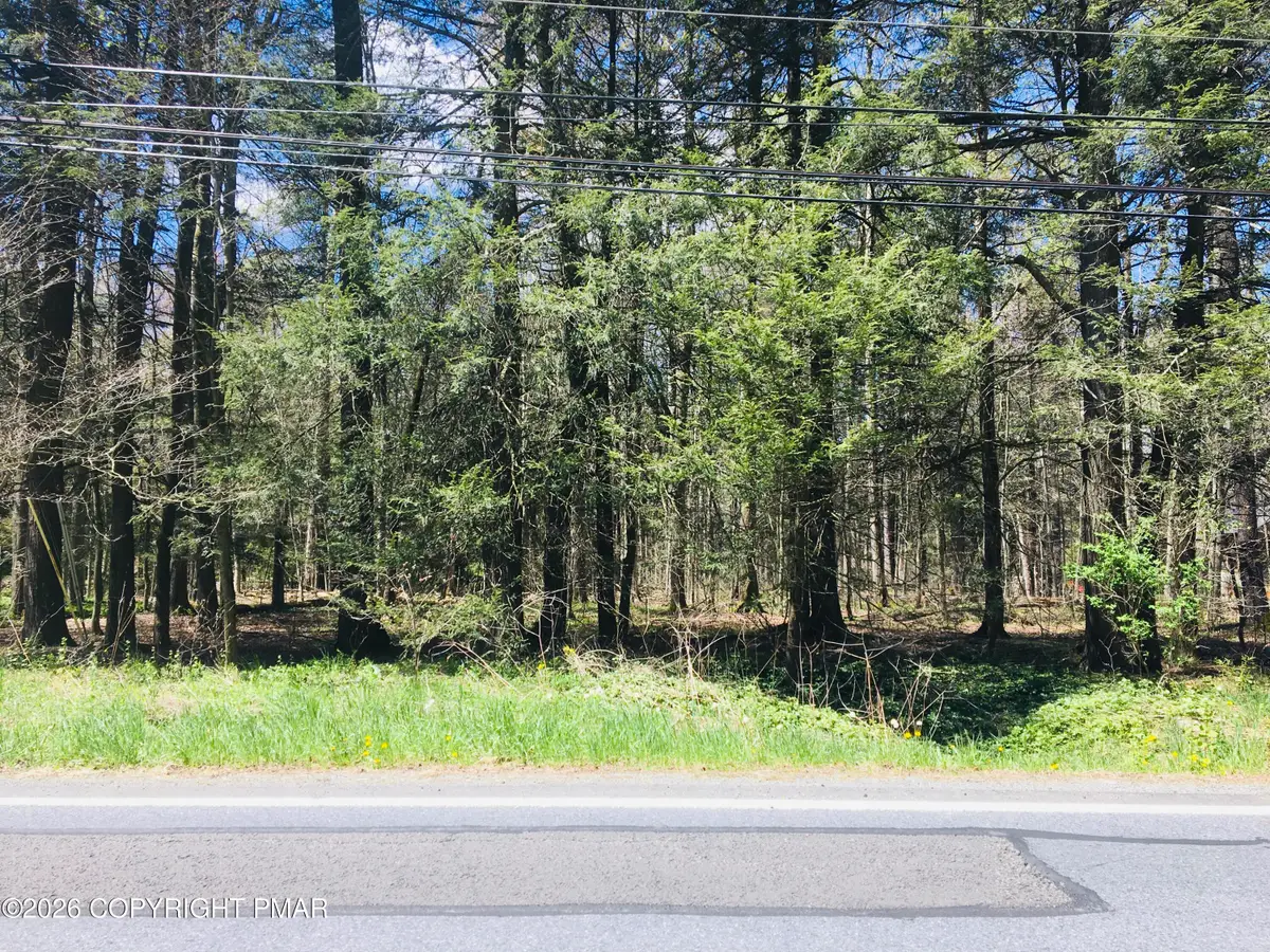 Lot 31 Route 423, Pocono Pines, PA 18350 - #1