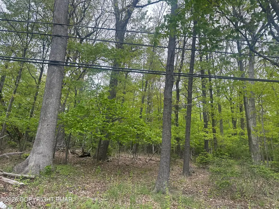 Us Rt 611 2, Swiftwater, PA 18370 - #3