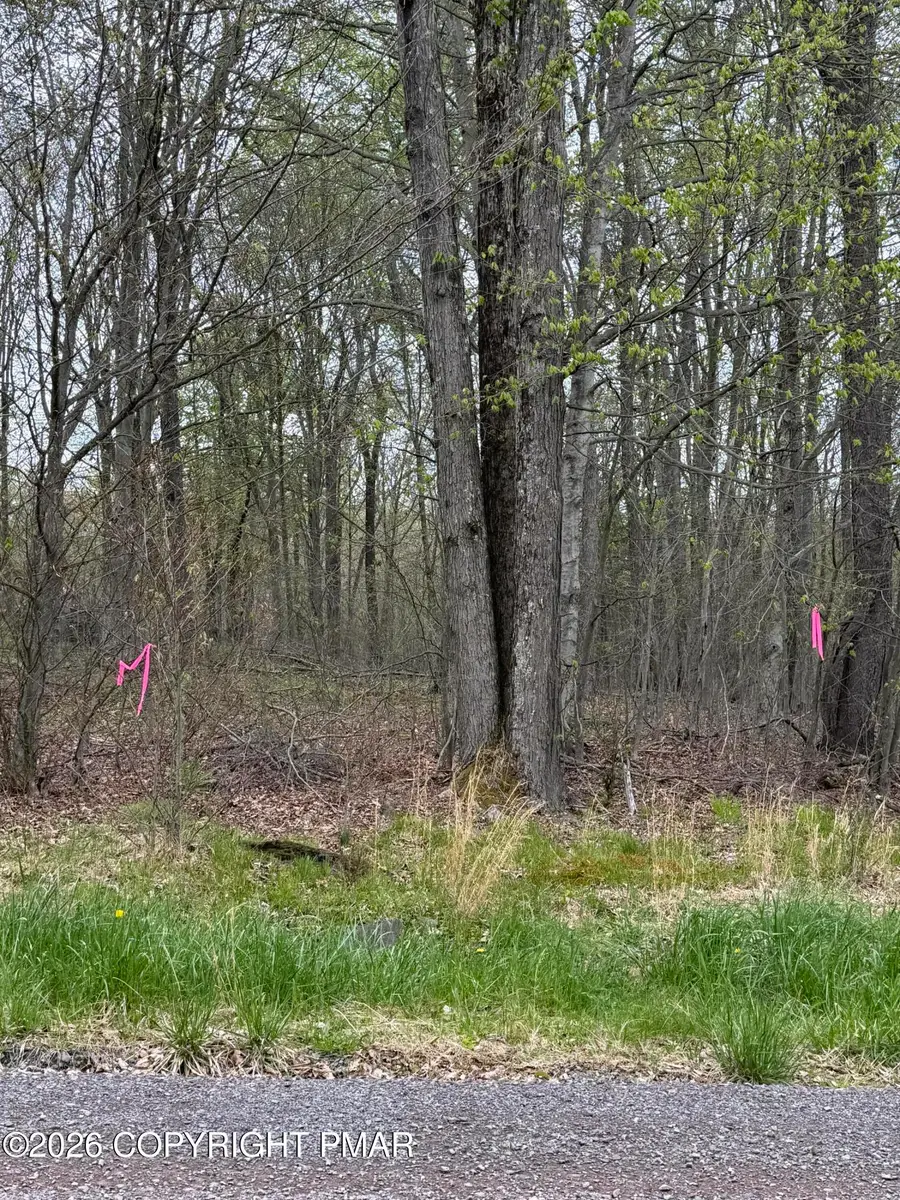 Winebago Dr2 16, Pocono Lake, PA 18347 - #2