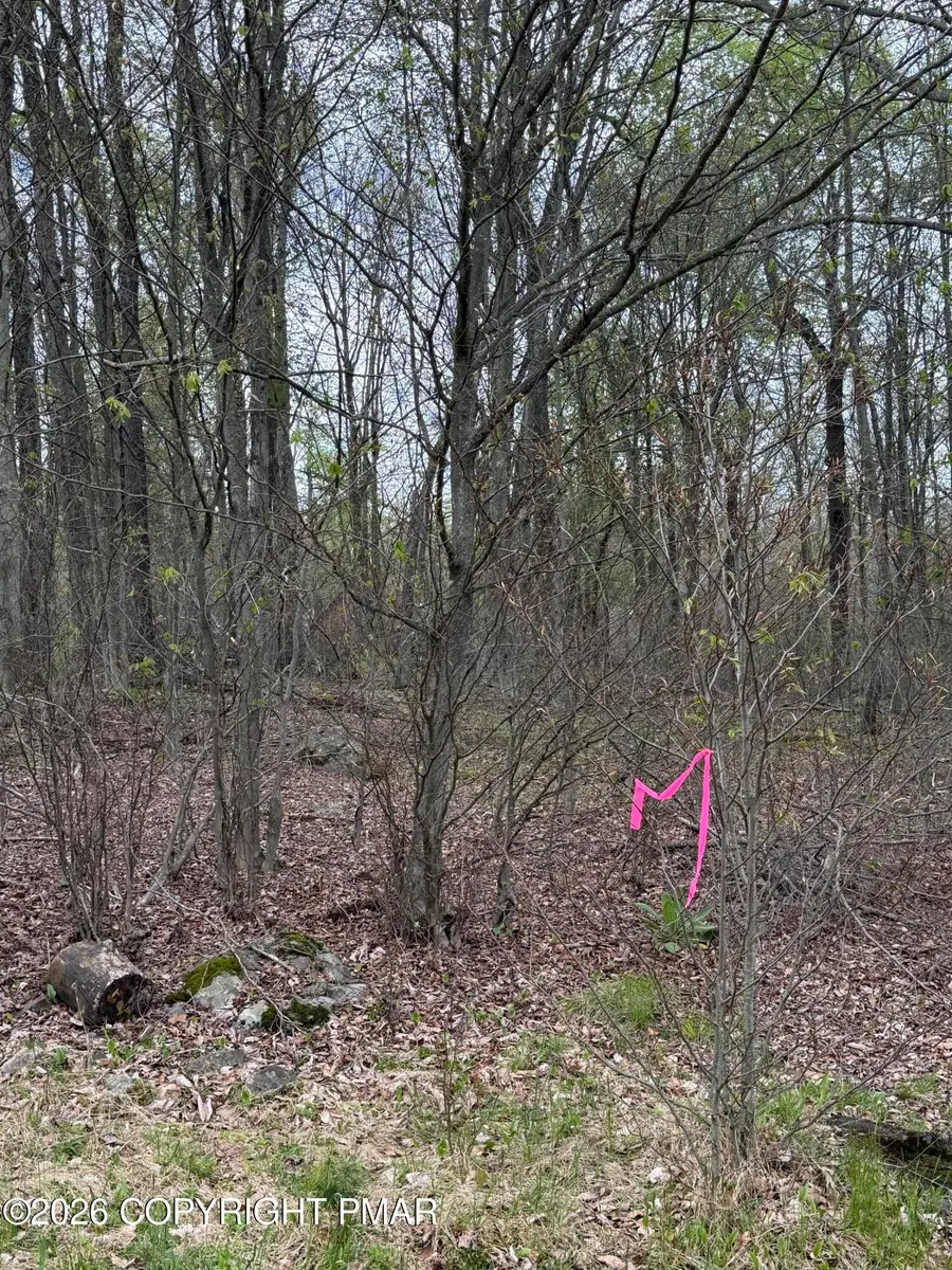Winebago Dr2 16, Pocono Lake, PA 18347 - #3