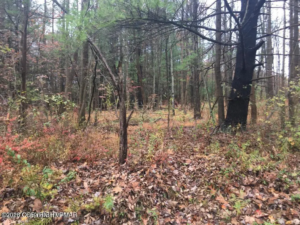 Lot 259 Birstol Circle E, East Stroudsburg, PA 18302 - #1