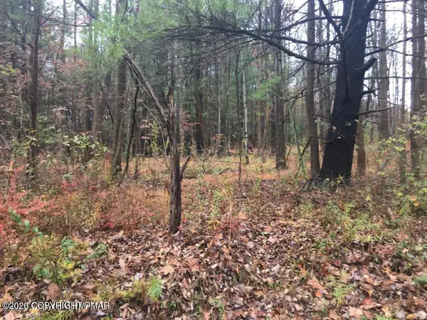 Lot 259 Birstol Circle E, East Stroudsburg, PA 18302