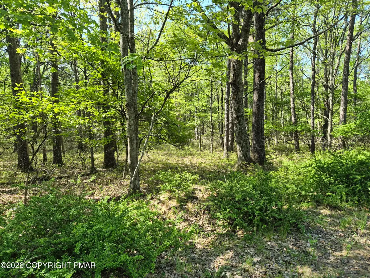 Lower Seese Hill Rd Road, Canadensis, PA 18325 - #1