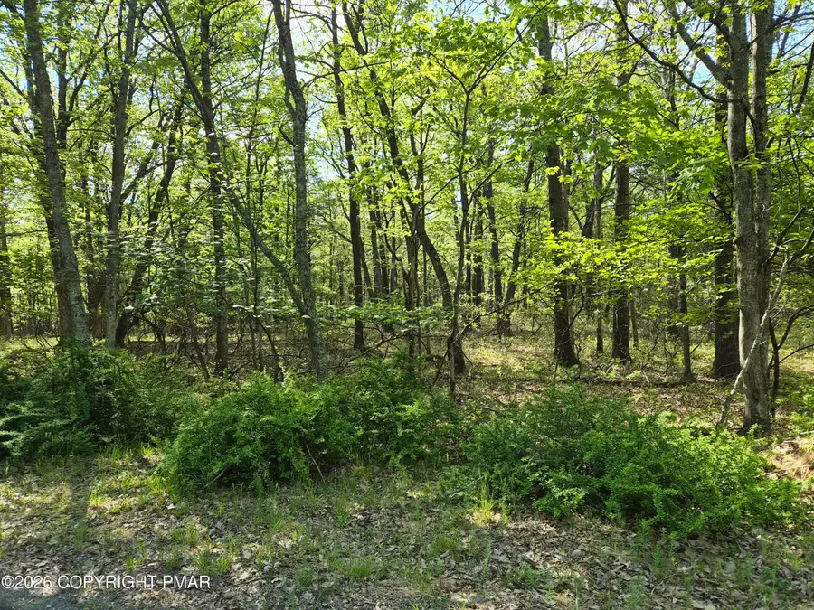 Lower Seese Hill Rd Road, Canadensis, PA 18325 - #3