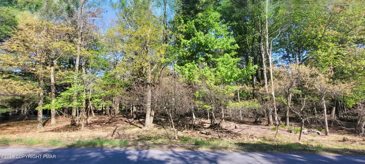 D2019 Penn Forest Trail, Albrightsville, PA 18210 - #1