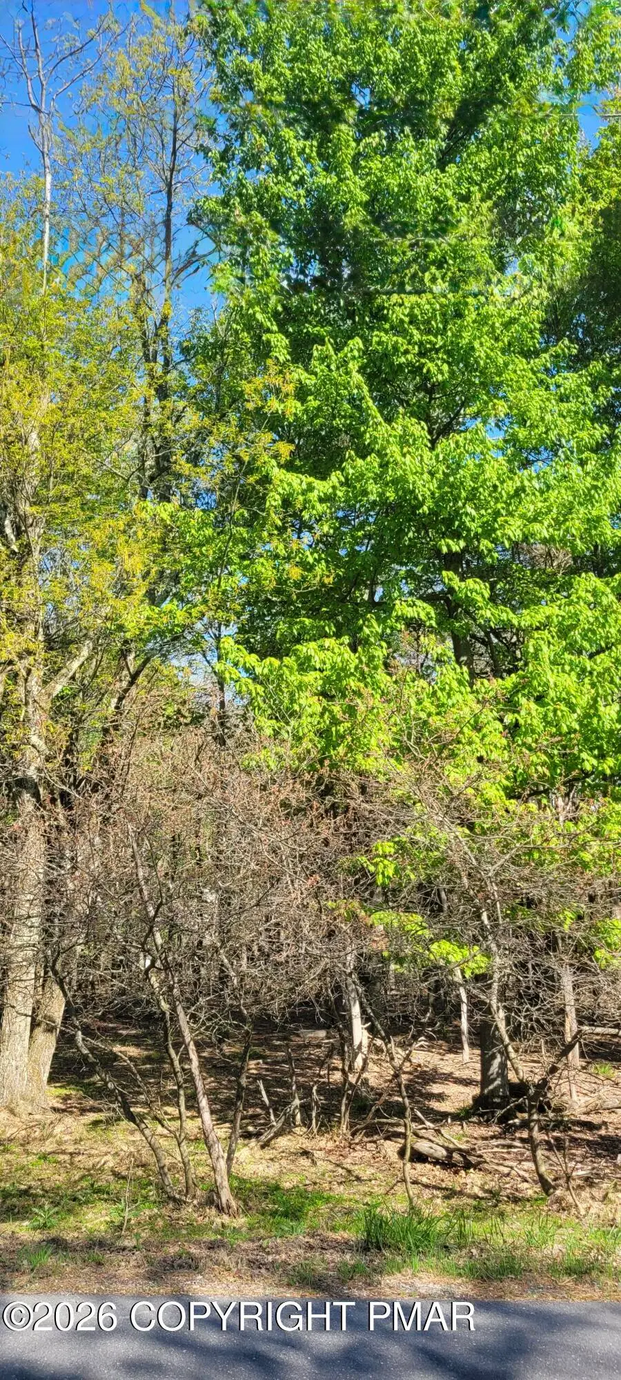 D2019 Penn Forest Trail, Albrightsville, PA 18210 - #2