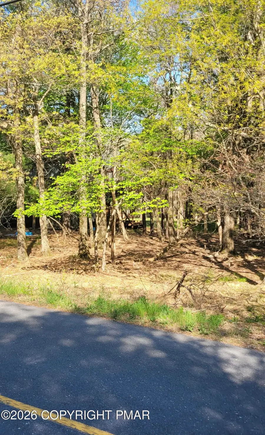 D2019 Penn Forest Trail, Albrightsville, PA 18210 - #3
