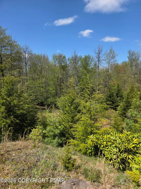 Hermit Thrush Road, Pocono Pines, PA 18350