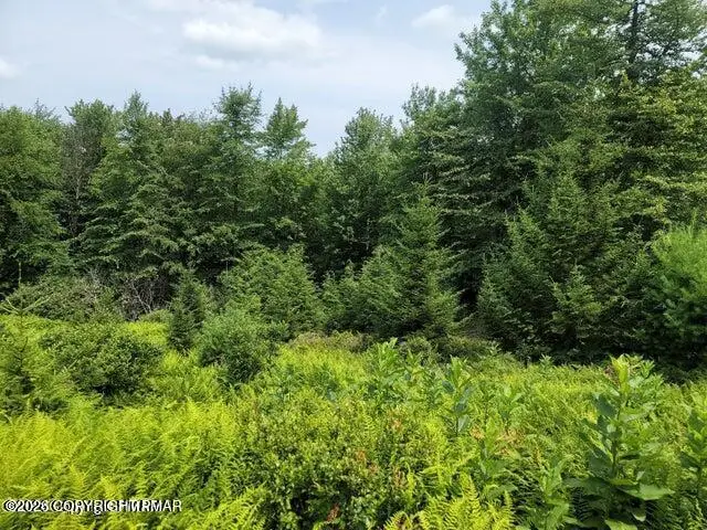 Hermit Thrush Road, Pocono Pines, PA 18350 - #2