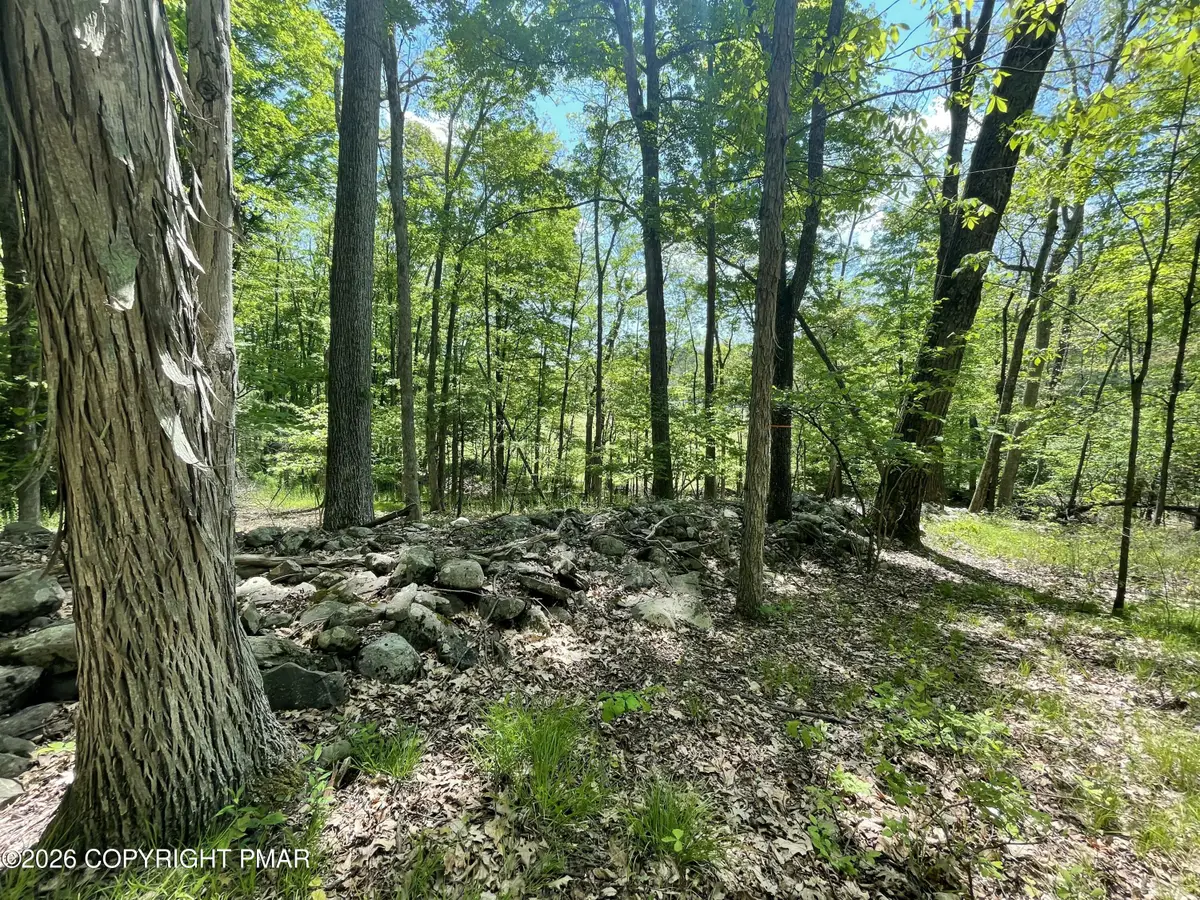 Rte 940 2, Cresco, PA 18326 - #1