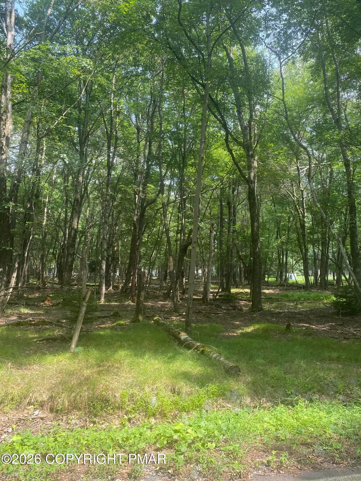 00 Stony Hollow Circle, Bushkill, PA 18324 - #1