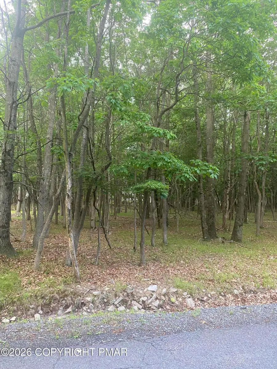 00 Stony Hollow Circle, Bushkill, PA 18324 - #3