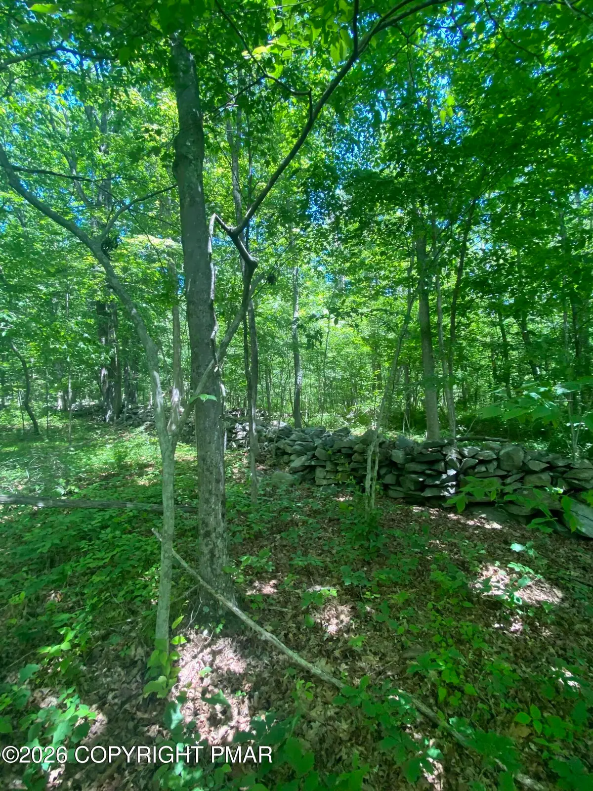 Sellersville Dr 4 Drive, East Stroudsburg, PA 18302 - #1
