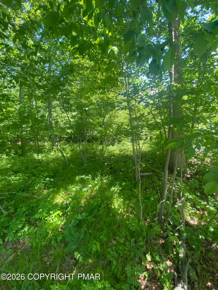 Sellersville Dr 4 Drive, East Stroudsburg, PA 18302 - #2