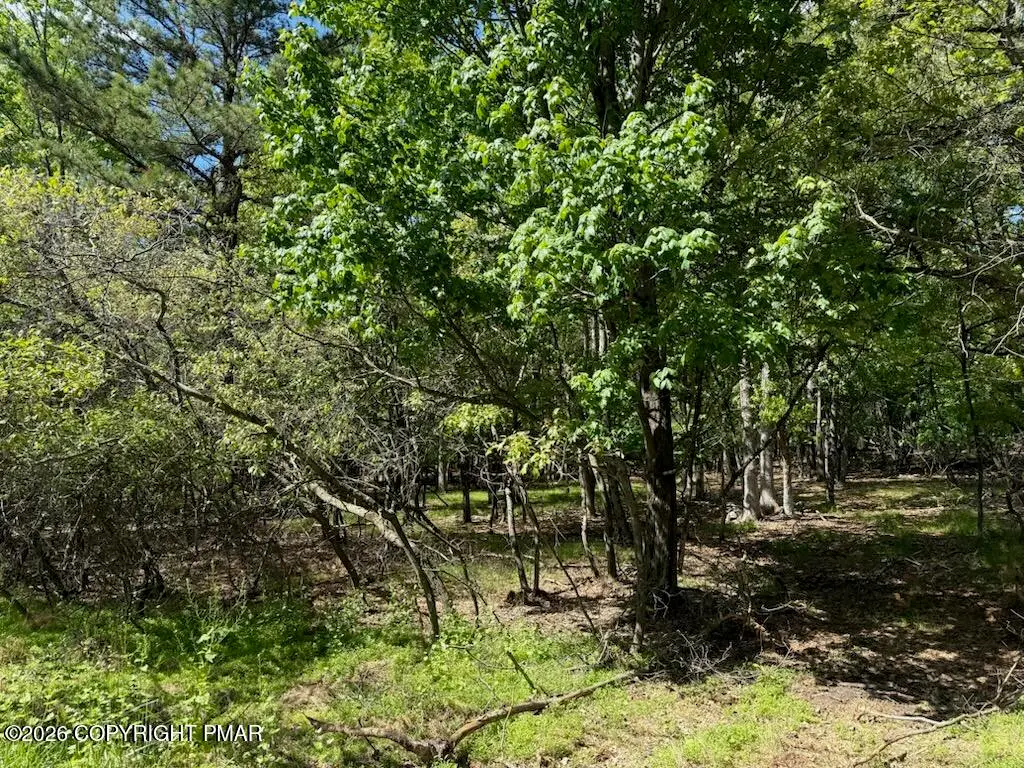 Lot EV1656 Maccauley Road, Albrightsville, PA 18210 - #1