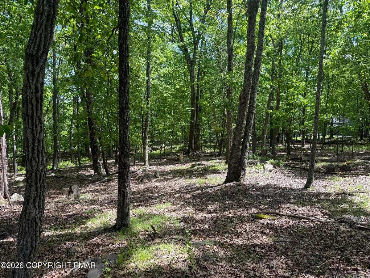 Delilah Rd 31 Road, East Stroudsburg, PA 18302 - #1
