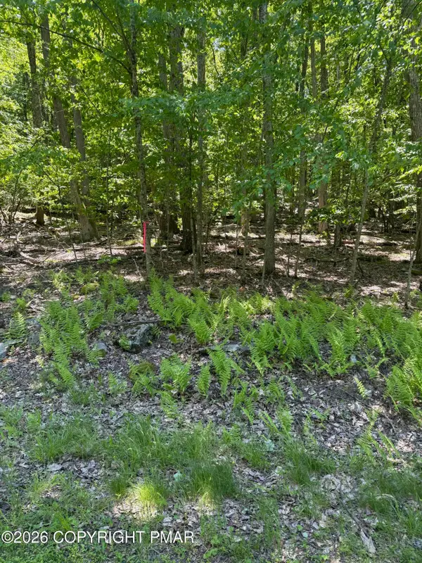 Paper Birch N, Tafton, PA 18464