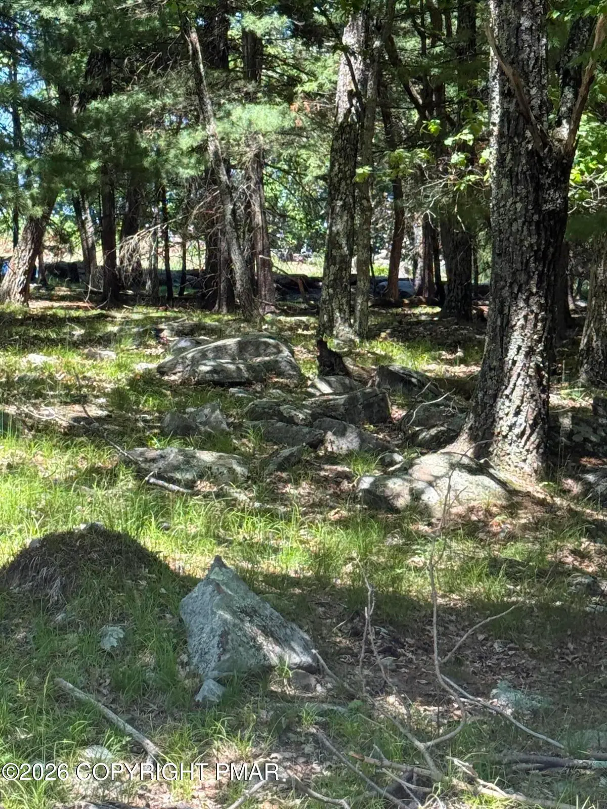 Song Mountain Drive, Tafton, PA 18464 - #1