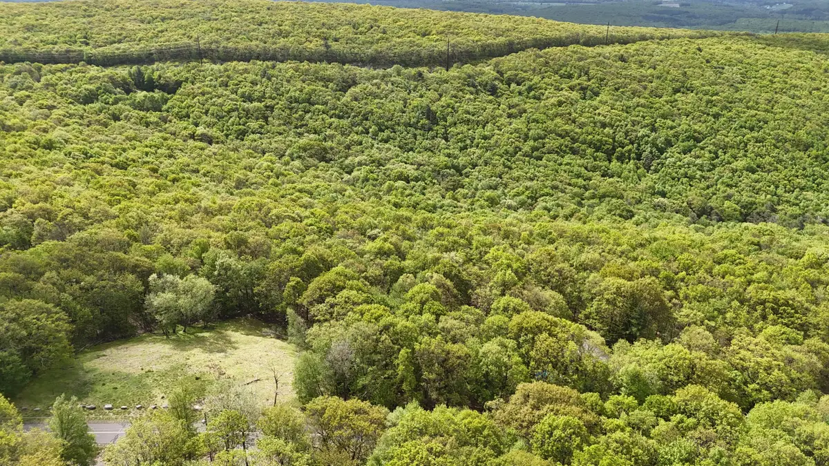 Arciel Drive, Albrightsville, PA 18210 - #1