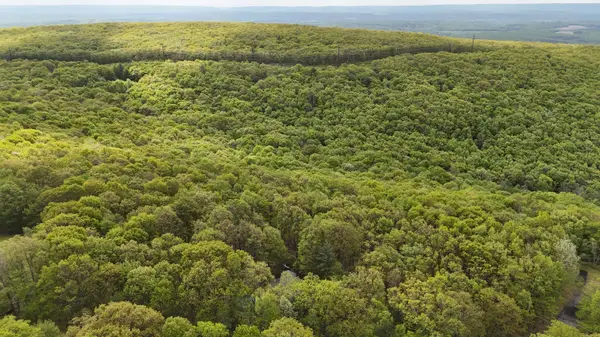 Arciel Drive, Albrightsville, PA 18210