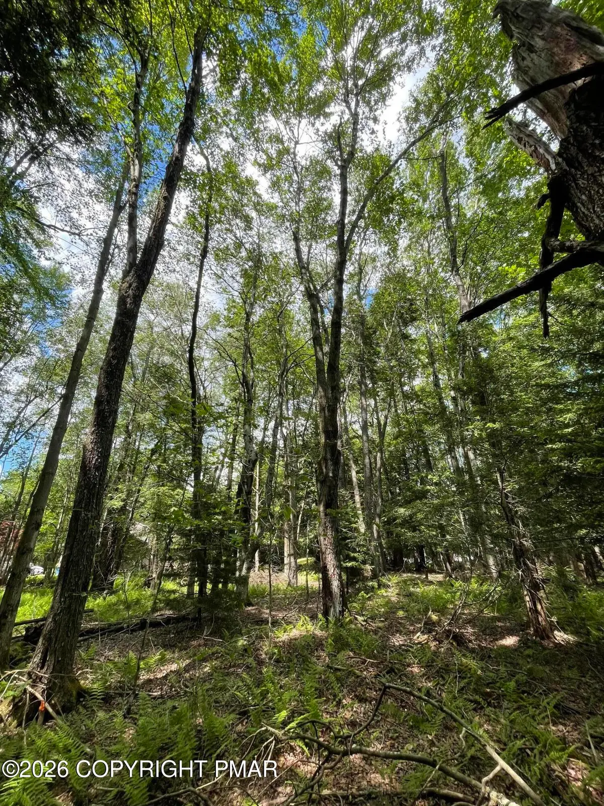 Pine Rd 67 Road, Pocono Pines, PA 18350 - #1