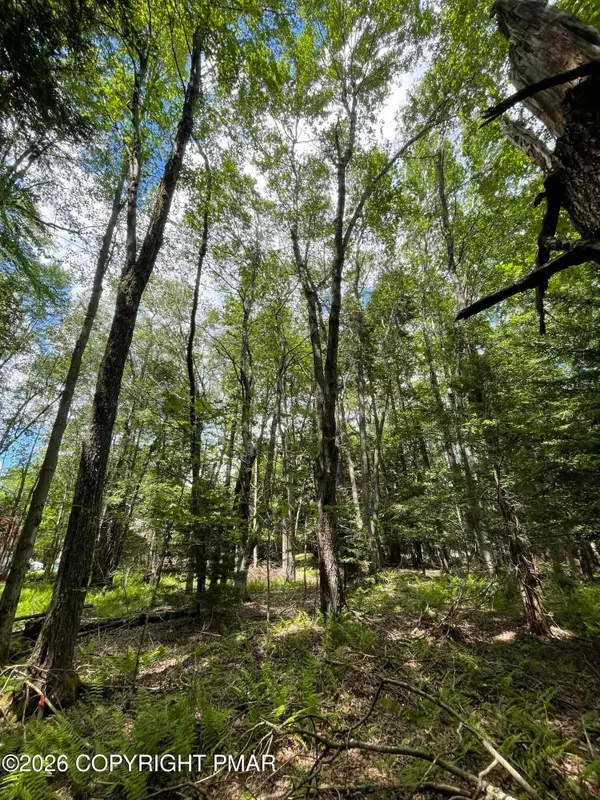 Pine Rd 67 Road, Pocono Pines, PA 18350