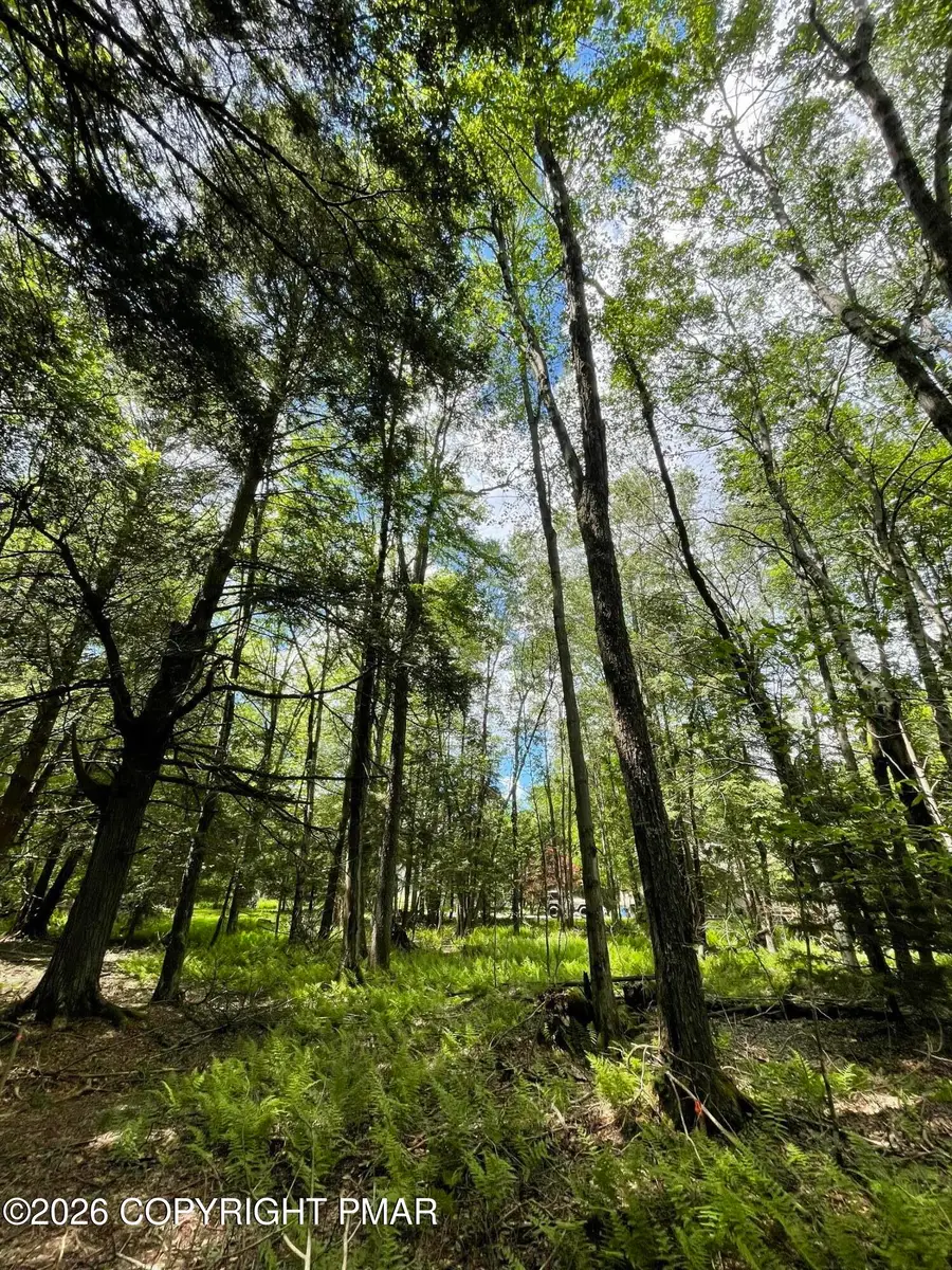 Pine Rd 67 Road, Pocono Pines, PA 18350 - #2
