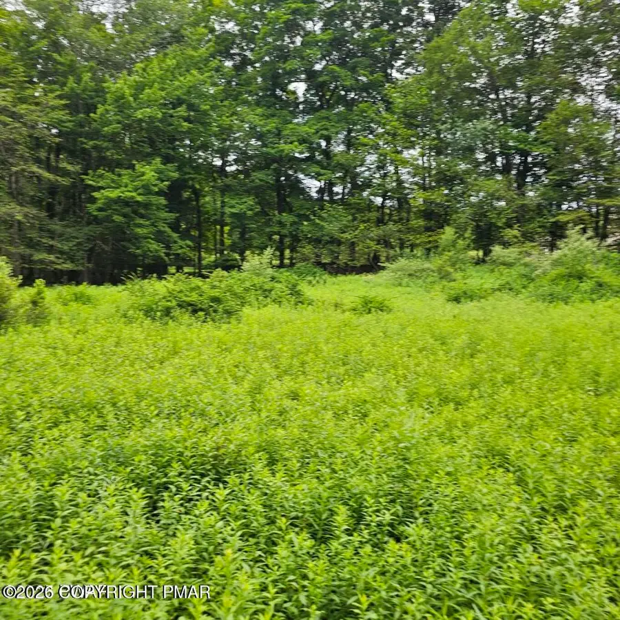 45 Lake Russell Road, Newfoundland, PA 18445 - #3