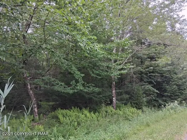18 Robyn Lane, Pocono Lake, PA 18347 - #2