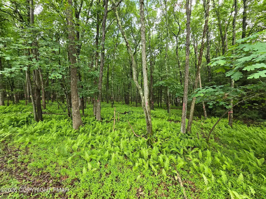 44 Poe Circle, Albrightsville, PA 18210 - #2