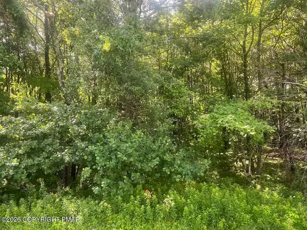 Sylvester Dr 303 Drive, Long Pond, PA 18334